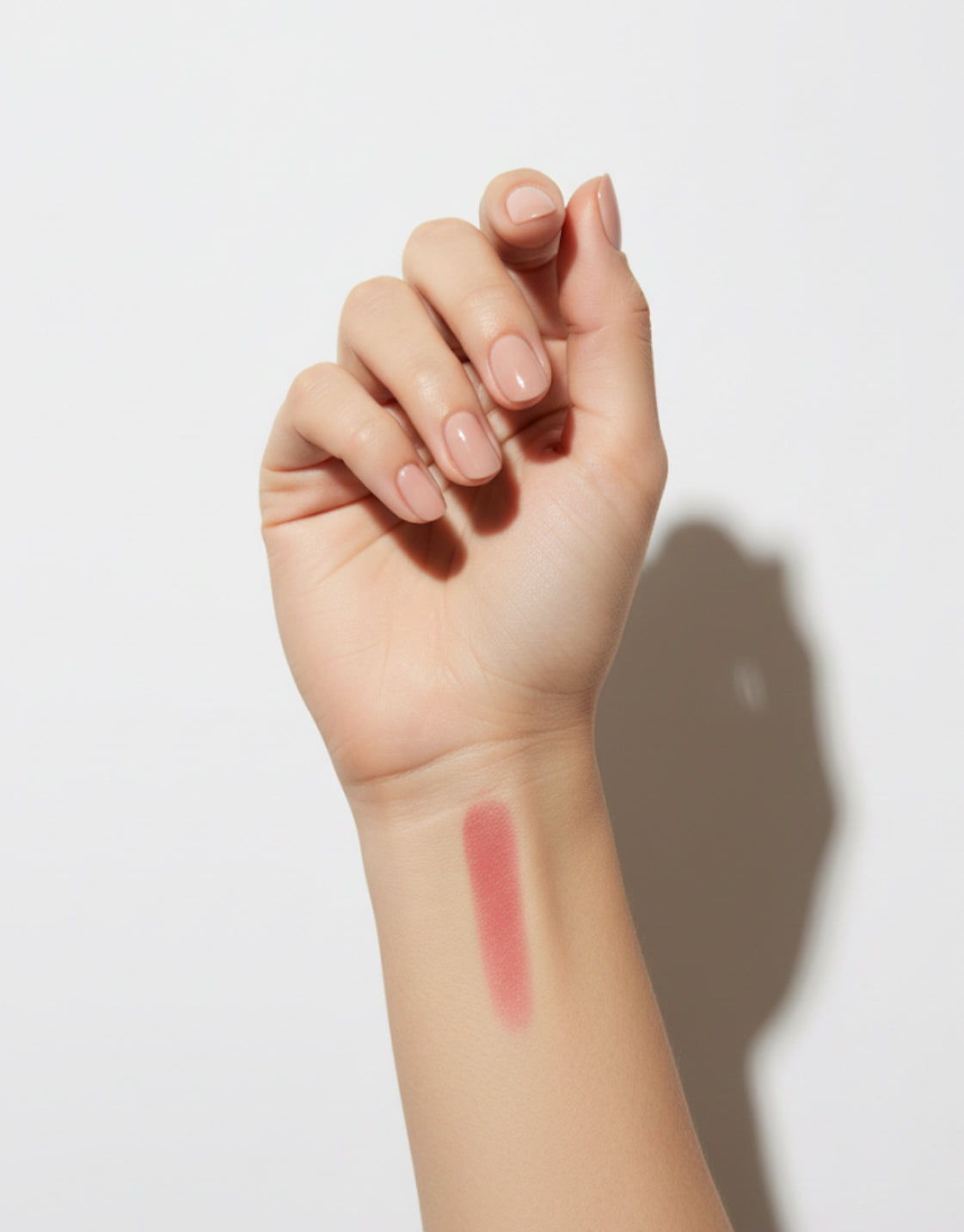Blush Brush Stick